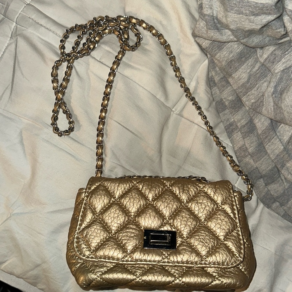 Steve Madden bag